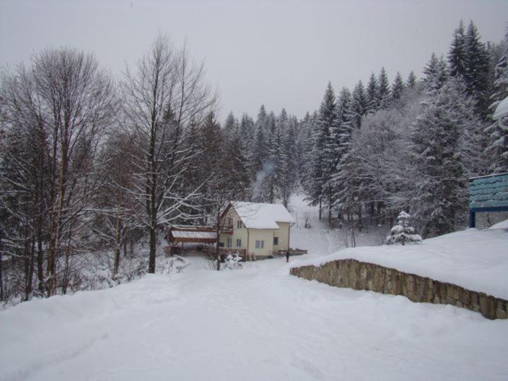 Soaptele Padurii & Casuta Din Padure Sucevita Exteriér fotografie