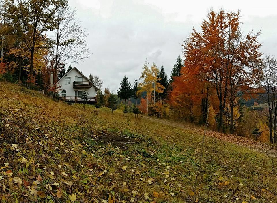 Soaptele Padurii & Casuta Din Padure Sucevita Exteriér fotografie