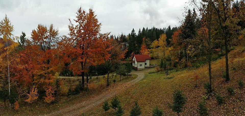 Soaptele Padurii & Casuta Din Padure Sucevita Exteriér fotografie