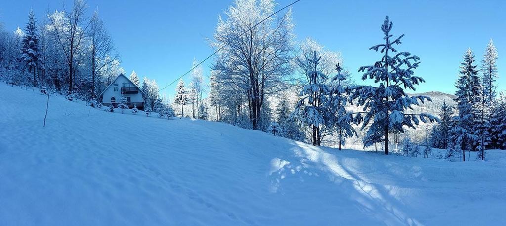 Soaptele Padurii & Casuta Din Padure Sucevita Exteriér fotografie