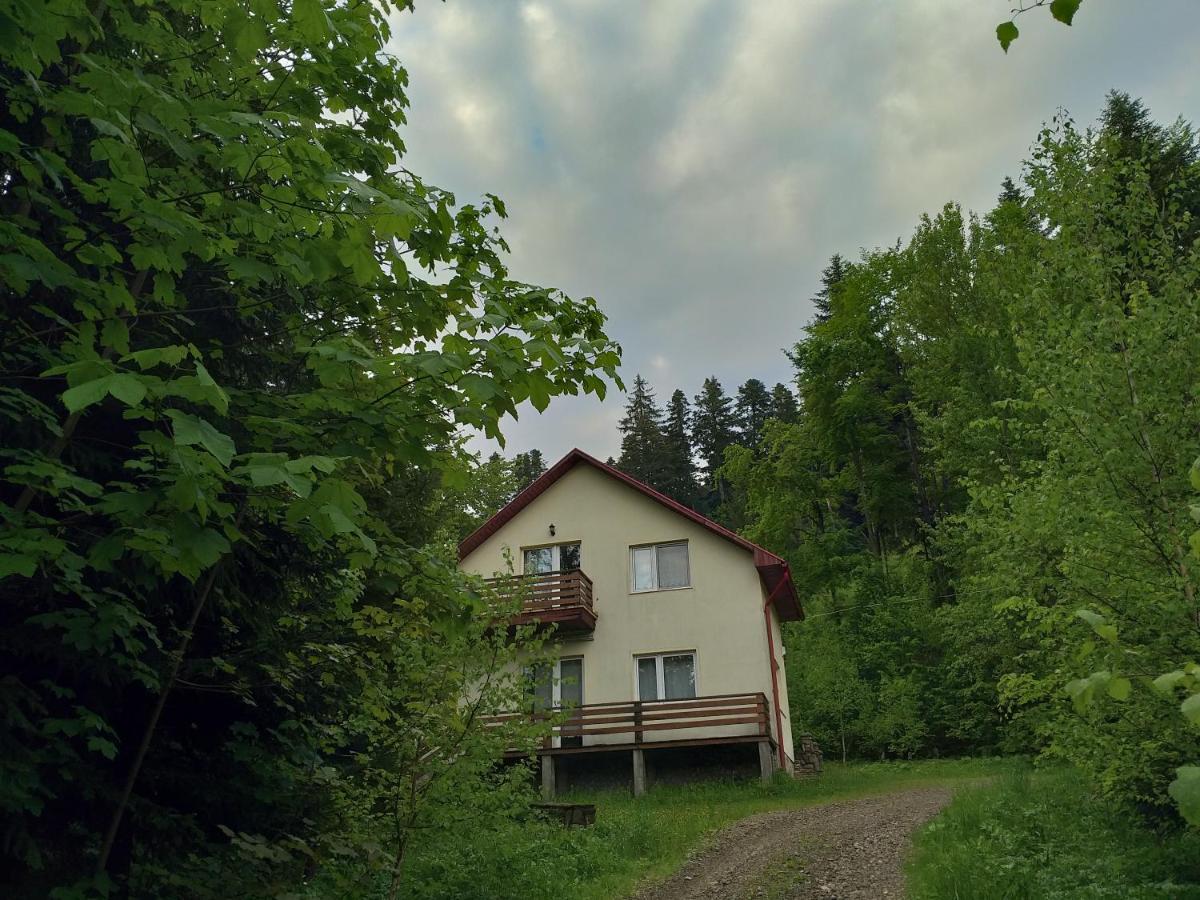 Soaptele Padurii & Casuta Din Padure Sucevita Exteriér fotografie